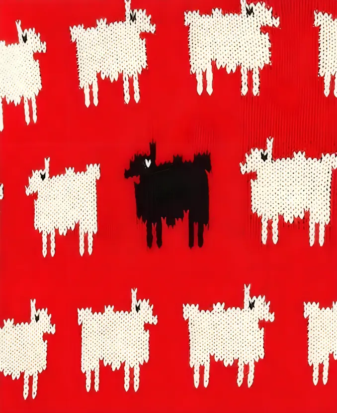 Princess Diana Black Sheep Sweater - Image 2